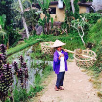 Ultimate Bali 10 Day Tour