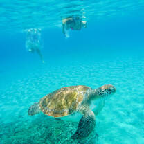 Ultimate Bali 10 Day Tour