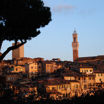 Siena at sunset. Siena Italy at sunset