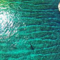 Species Conservation in the Maldives with NATUCATE