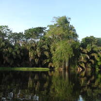 Pacuare River 