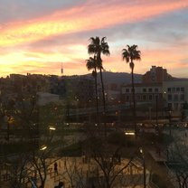 From my window in the Residencia