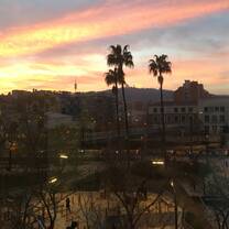 From my window in the Residencia