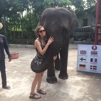Meeting an Elephant during the Orientation Week