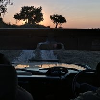 Safari in Botswana