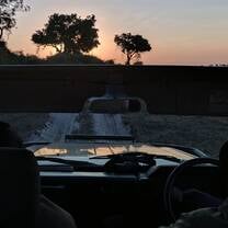 Safari in Botswana