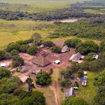 Swimming with Giant river otter Eco-Lodge
