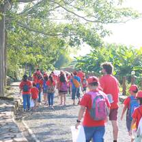 Summer Camp