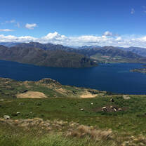 Explore beautiful New Zealand