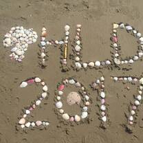 HLD 2017 made from shells at Canoa beach