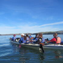 Sea Kayaking in Tomales Bay