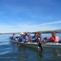Sea Kayaking in Tomales Bay