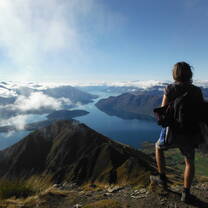 Intern in New Zealand