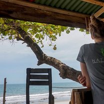 Watching the beach