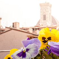 From the balcony of the Via Lingua Center