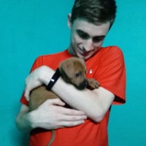 The hidden joys of teaching in someone's house...puppies!