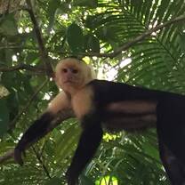 Hanging out in Costa Rica
