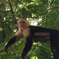 Hanging out in Costa Rica