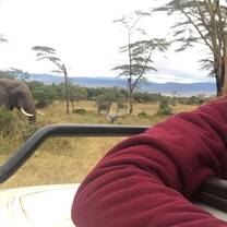 Safari day!!