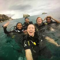 Scurtified in Koh Tao