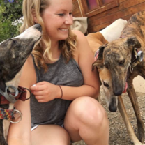 Galgos