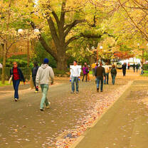 University of Melbourne 