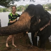 Elephants