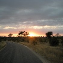 Sunrise at Kruger National park