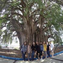 CSUF en Oaxaca