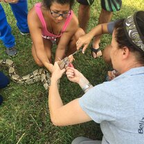 Students assisting Dr. Isabelle with boa