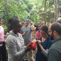 Vet students conducting monthly health checks, vitamins and parasite treatments