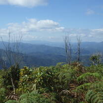 Valley Ribeira