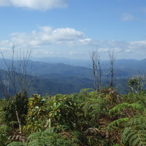 Valley Ribeira
