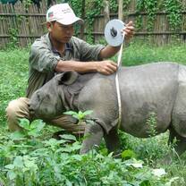 A baby rhino in the sanctuary