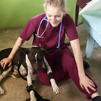Veterinary study abroad students at spay and neuter clinic