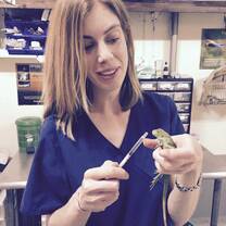 Dr. Kasia explaining syringe feeding to BWRC students