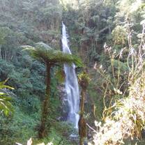 Cloudforest waterfalls