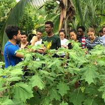 Group of students in rainforest