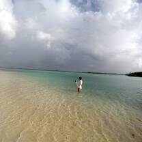 Study Abroad in Bonaire with CIEE