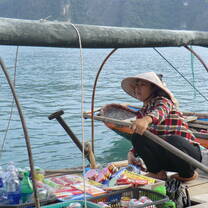 Vietnam: Ecology & Conservation