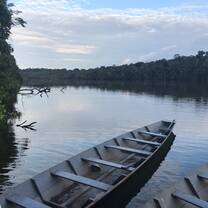 the Amazon