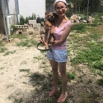 Cute puppy