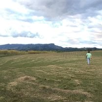 "The Sunset Spot"