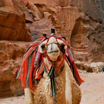Jordan: Arabic Language & The Middle East