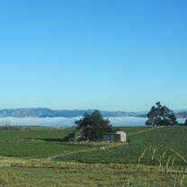 Live and work in New Zealand.