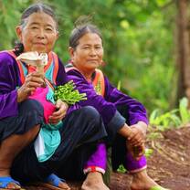Thailand: Buddhist Traditions & Thai Culture