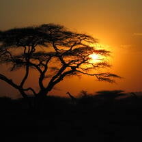 Tanzania: African Cultures & Landscapes 