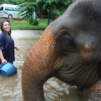 Thailand: Buddhist Traditions & Thai Culture