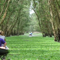 Vietnam: Ecology & Conservation