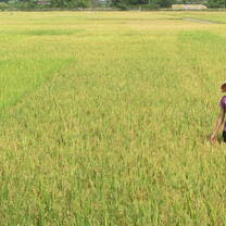 Vietnam: Ecology & Conservation